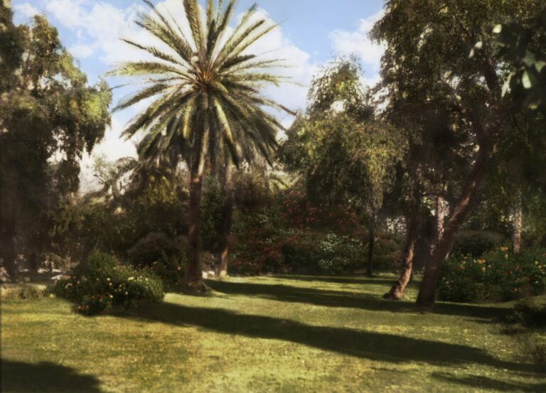 Ridván, The King of Festivals of the Bahá’í Faith