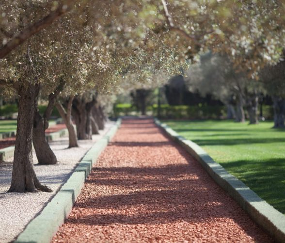 1704038544-1189195-master