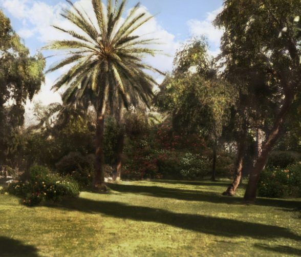 1740397368-nn3533-de-co